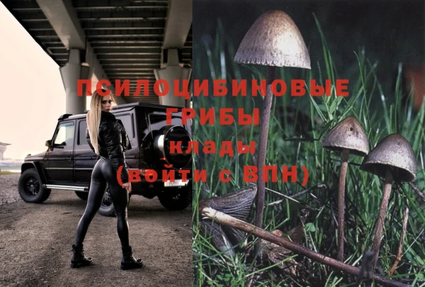 стаф Балабаново