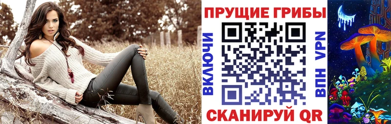 Галлюциногенные грибы Psilocybe  как найти закладки  Семилуки 